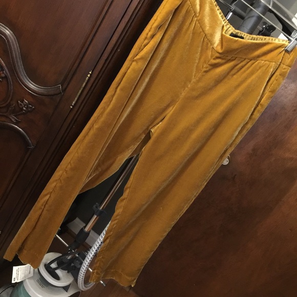 JCREW VELVET PULL ON PANT SZ 6 NWT - Picture 7 of 7